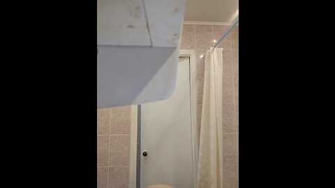 Media: mimifors Bongacams 2023-09-12 14:54:00
