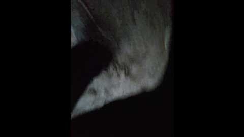 Media: masya1996 Bongacams 2023-09-13 16:18:00