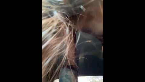 Media: _maybebaby_ Bongacams 2023-09-14 12:23:00