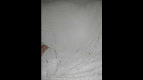 Media: lolatorr Bongacams 2023-09-23 03:18:00