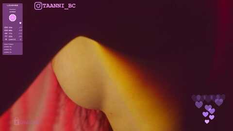 Media: taanni Bongacams 2023-10-04 03:57:00