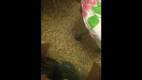 Media: julia0114 Bongacams 2023-10-05 20:33:00