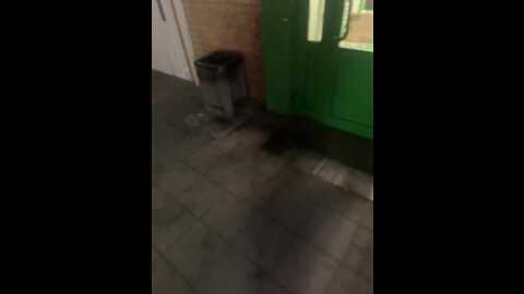 Media: _breid_1 Bongacams 2023-10-08 21:16:00