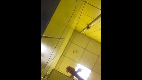 Media: adelaida1001 Bongacams 2023-10-09 09:32:00