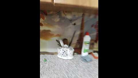 Media: malinka1512 Bongacams 2023-10-11 14:54:00