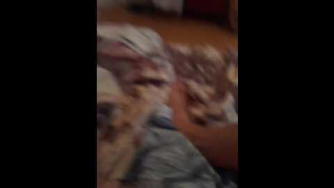 Media: sweetlovers2 Bongacams 2023-10-14 05:13:00
