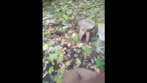 Media: perepyganue Bongacams 2023-10-18 12:09:00