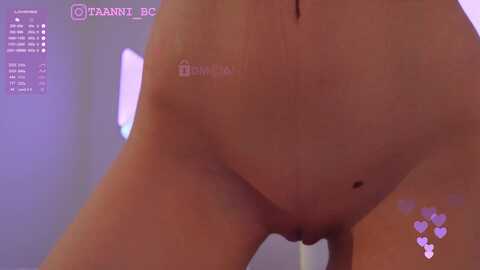 Media: taanni Bongacams 2023-10-18 11:24:00