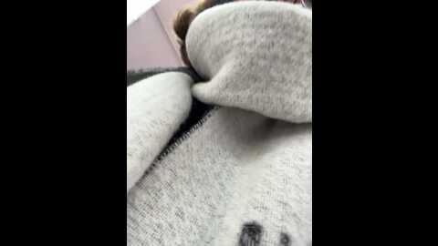 Media: _alessandra Bongacams 2023-10-20 09:18:00