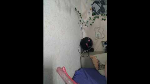 Media: littledelora Bongacams 2023-10-27 04:30:00