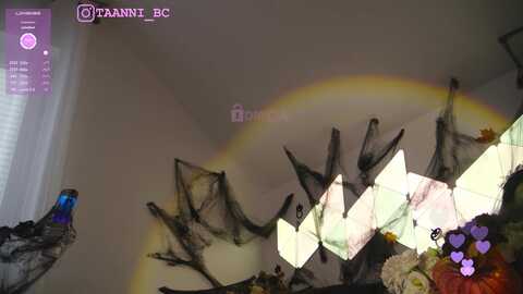 Media: taanni Bongacams 2023-11-01 07:58:00