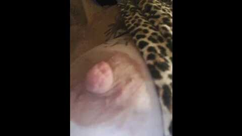 Media: koks69a Bongacams 2023-11-03 19:36:00