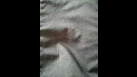 Media: alenushka888 Bongacams 2023-11-11 12:53:00