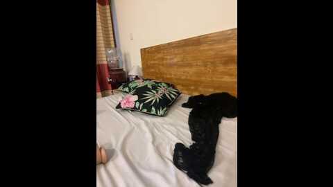 merrybelli @ bongacams on 20231114