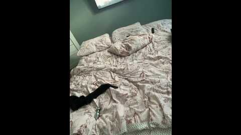 Media: milaa1998 Bongacams 2023-11-24 06:32:00