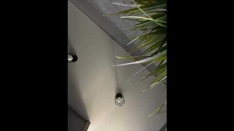 Media: vero19nika Bongacams 2023-11-27 08:06:00