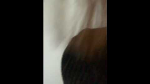 Media: wow_eva Bongacams 2023-11-28 11:12:00