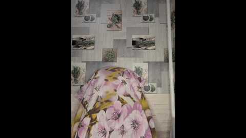 Media: anesteishen Bongacams 2023-11-29 04:20:00