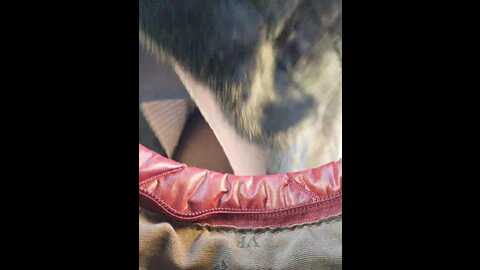 Media: editamilf Bongacams 2023-11-29 04:38:00