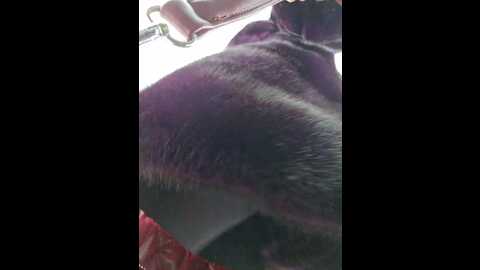 Media: editamilf Bongacams 2023-12-04 04:30:00