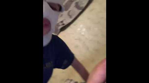 Media: fregidaaa Bongacams 2023-12-05 19:25:00