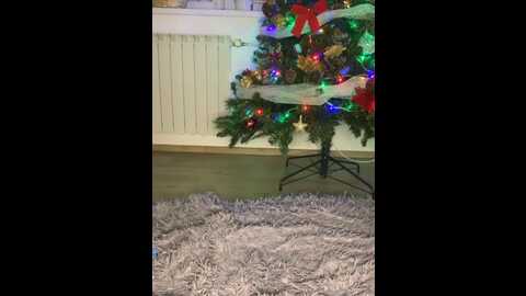 isizzu_top