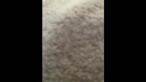 Media: honeycouple Bongacams 2023-12-09 13:53:00