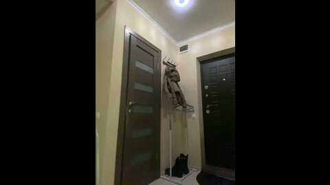 Media: my_love1467 Bongacams 2023-12-12 21:30:00