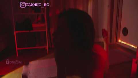 Media: taanni Bongacams 2023-12-13 00:09:00