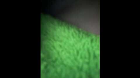 Media: monikayyy Bongacams 2023-12-20 14:08:00