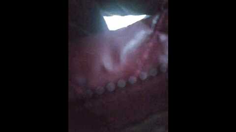 Media: editamilf Bongacams 2023-12-29 06:54:00
