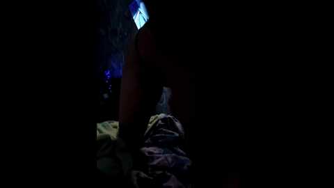 alina1706sex @ bongacams on 20240101