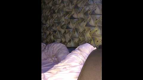 Media: arina979797 Bongacams 2024-01-01 14:46:00