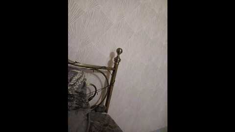 Media: annanaz1912 Bongacams 2024-01-02 06:18:00