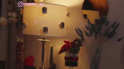 Media: taanni Bongacams 2024-01-02 06:00:00