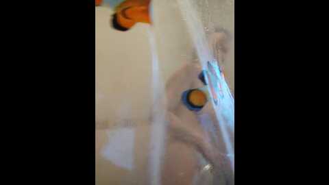 Media: terrirose Bongacams 2024-01-04 06:32:00