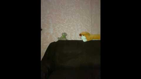 Media: my_love1467 Bongacams 2024-01-05 14:40:00