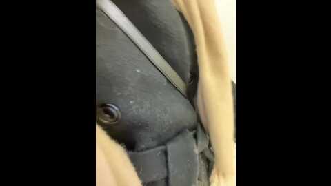 Media: prettykatea Bongacams 2024-01-10 14:44:00