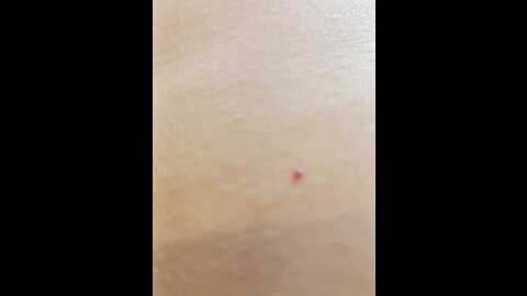 Media: hairycrotch Bongacams 2024-01-14 06:28:00