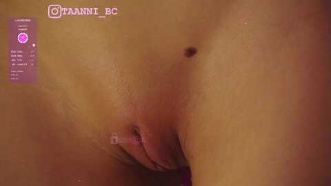 Media: taanni Bongacams 2024-01-14 04:43:00