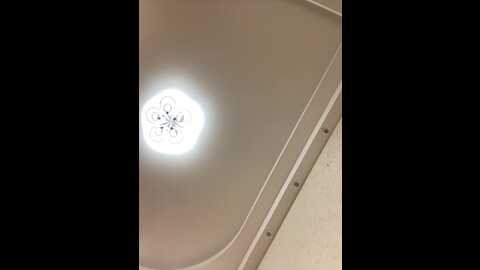 eiiy @ bongacams on 20240117