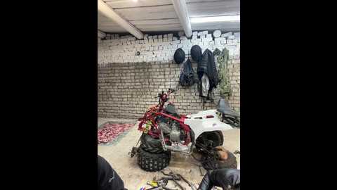Media: _breid_1 Bongacams 2024-09-18 00:10:00