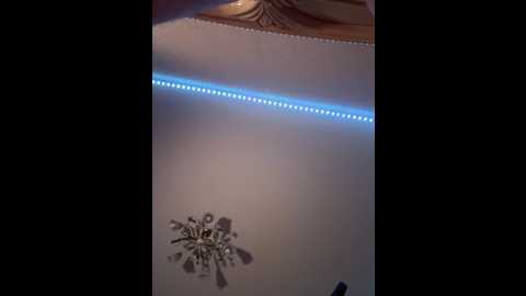 cuba_v @ bongacams on 20240918