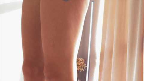 Media: fina771 Bongacams 2024-09-18 13:45:00
