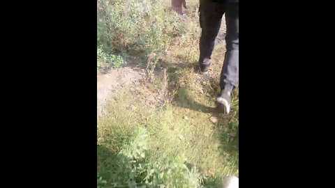 Media: _pypsiki_ Bongacams 2024-09-19 06:28:00