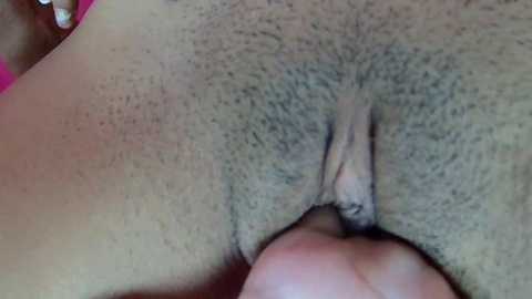 Media: farianaall Bongacams 2024-09-19 04:19:00
