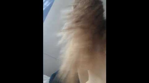 Media: sweetkarinaa Bongacams 2024-09-19 15:43:00