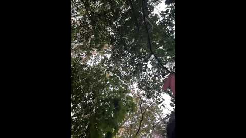 Media: babydarii Bongacams 2024-09-21 15:55:00