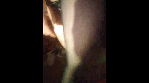 olijane @ bongacams on 20240921