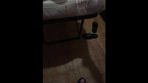 Media: parakrezi Bongacams 2024-09-21 21:31:00